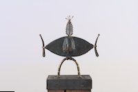img25